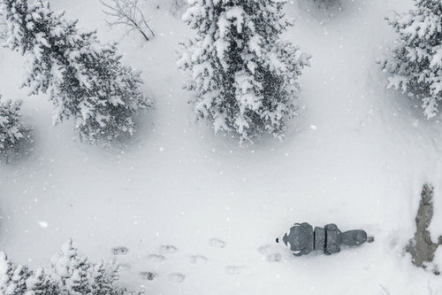 Cute 3d printed husky